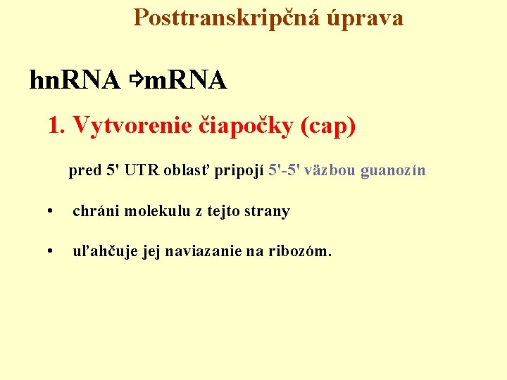  Posttranskripčná úprava hn. RNA ⇨m. RNA 1. Vytvorenie čiapočky (cap) pred 5' UTR