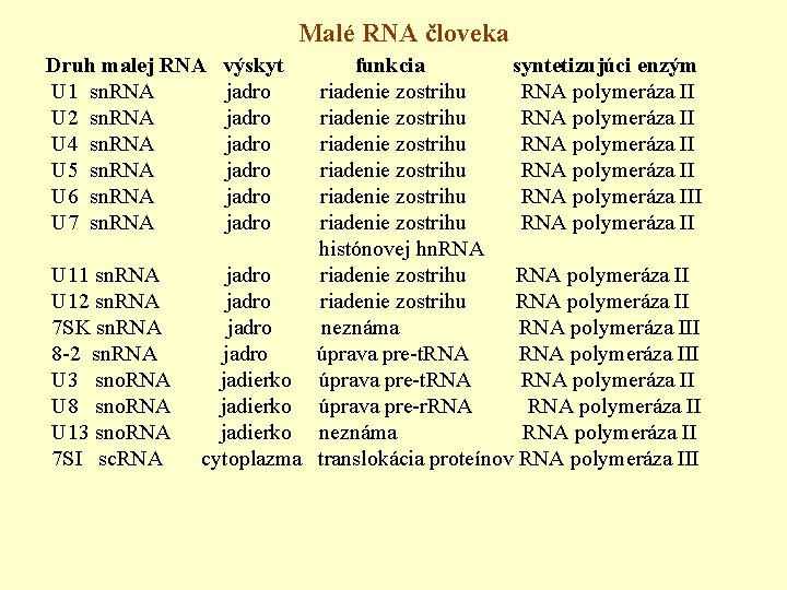 Malé RNA človeka Druh malej RNA výskyt funkcia syntetizujúci enzým U 1 sn. RNA