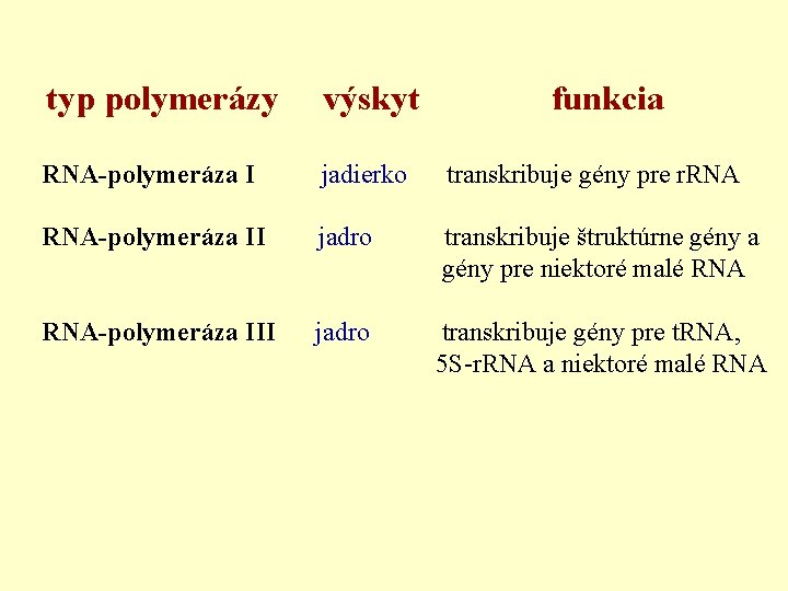 typ polymerázy výskyt funkcia RNA-polymeráza I jadierko transkribuje gény pre r. RNA-polymeráza II jadro