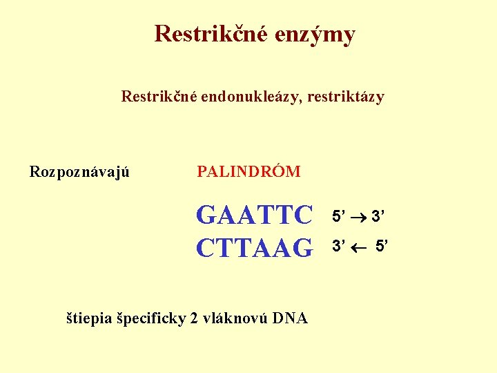 Restrikčné enzýmy Restrikčné endonukleázy, restriktázy Rozpoznávajú PALINDRÓM GAATTC CTTAAG štiepia špecificky 2 vláknovú DNA