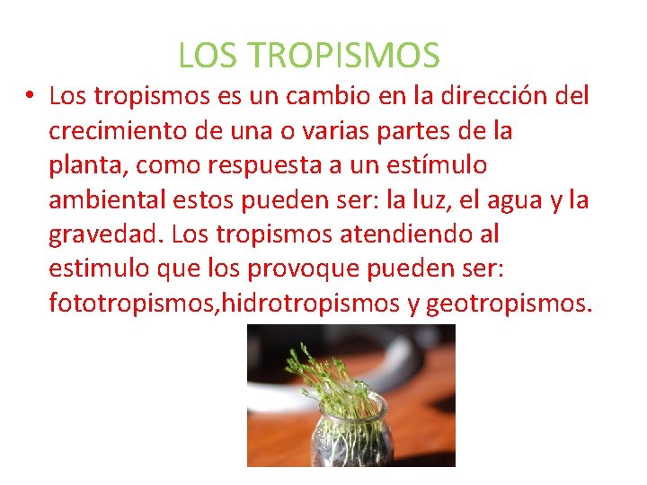 LOS TROPISMOS • Los tropismos es un cambio en la dirección del crecimiento de