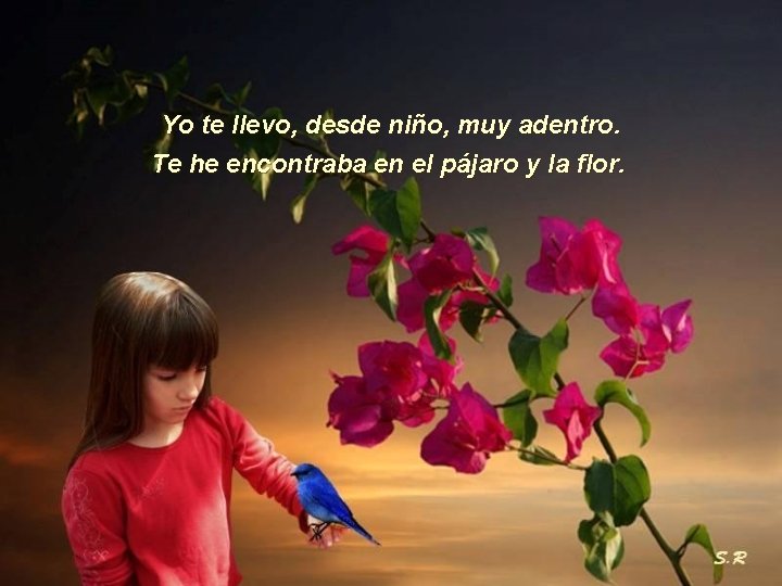 Yo te llevo, desde niño, muy adentro. Te he encontraba en el pájaro y