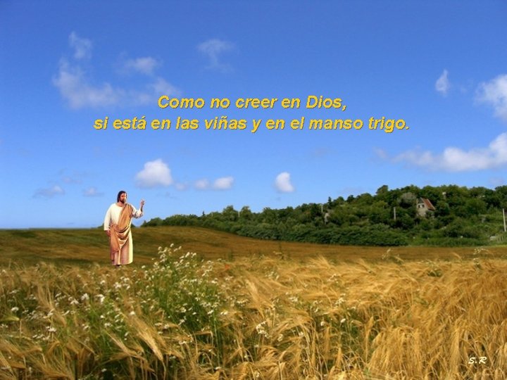 Como no creer en Dios, si está en las viñas y en el manso