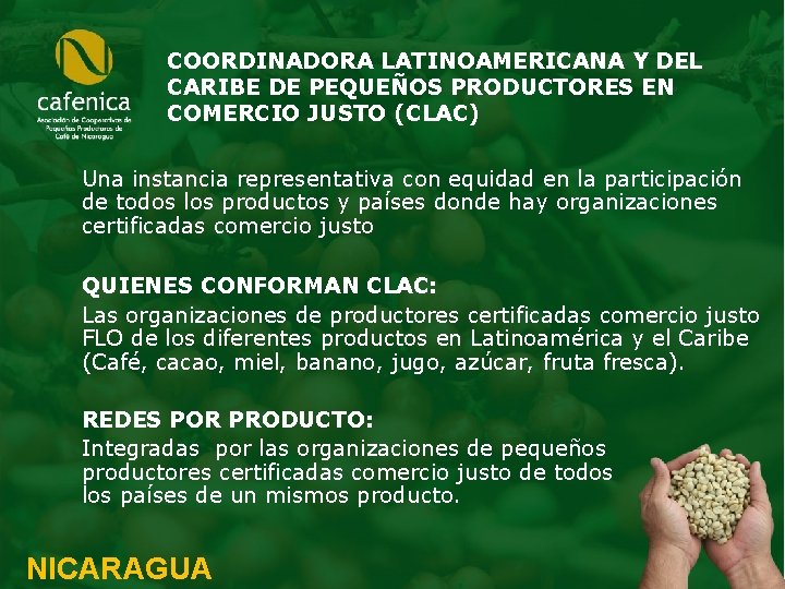 COORDINADORA LATINOAMERICANA Y DEL CARIBE DE PEQUEÑOS PRODUCTORES EN COMERCIO JUSTO (CLAC) Una instancia