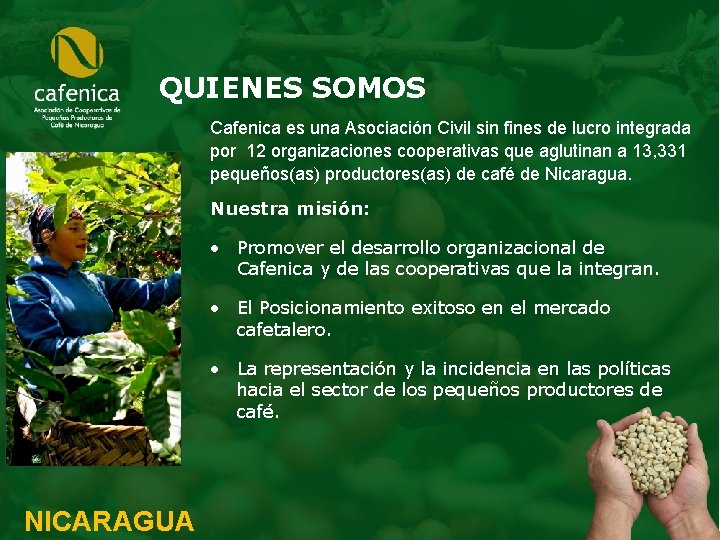 QUIENES SOMOS Cafenica es una Asociación Civil sin fines de lucro integrada por 12