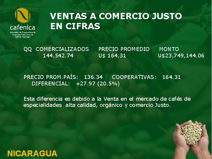 VENTAS A COMERCIO JUSTO EN CIFRAS QQ COMERCIALIZADOS PRECIO PROMEDIO MONTO 144, 542. 74