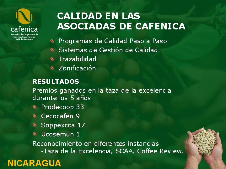 CALIDAD EN LAS ASOCIADAS DE CAFENICA Programas de Calidad Paso a Paso Sistemas de