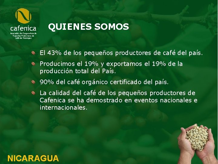 QUIENES SOMOS El 43% de los pequeños productores de café del país. Producimos el