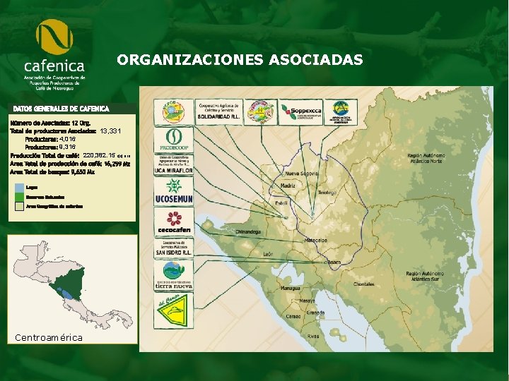 ORGANIZACIONES ASOCIADAS 13, 331 4, 016 9, 316 220, 382. 15 qq oro Centroamérica