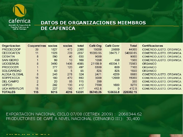 DATOS DE ORGANIZACIONES MIEMBROS DE CAFENICA EXPORTACION NACIONAL CICLO 07/08 (CETREX 2009) : 2068344.