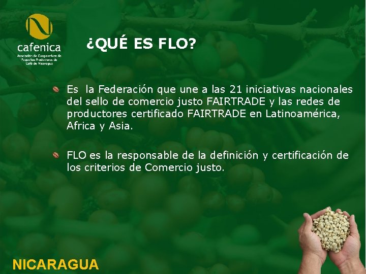 ¿QUÉ ES FLO? Es la Federación que une a las 21 iniciativas nacionales del