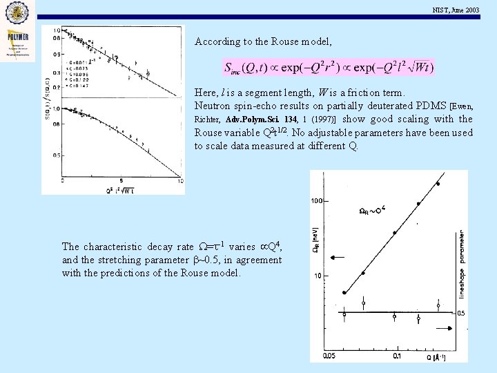 NIST, June 2003 According to the Rouse model, Here, l is a segment length,