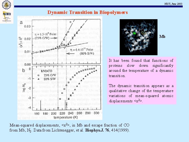 NIST, June 2003 Dynamic Transition in Biopolymers Mb It has been found that functions