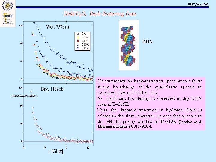NIST, June 2003 DNA/D 2 O, Back-Scattering Data DNA Measurements on back-scattering spectrometer show
