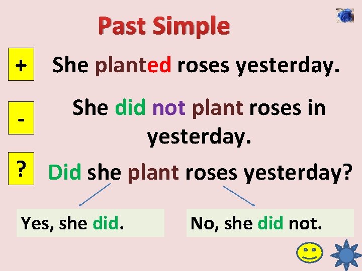 Past Simple + She planted roses yesterday. She did not plant roses in yesterday.
