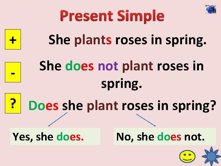 Present Simple + She plants roses in spring. She does not plant roses in