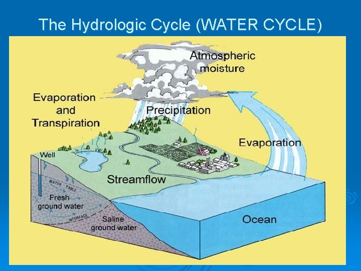 The Hydrologic Cycle (WATER CYCLE) 