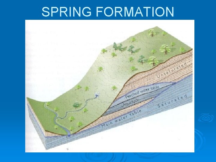 SPRING FORMATION 