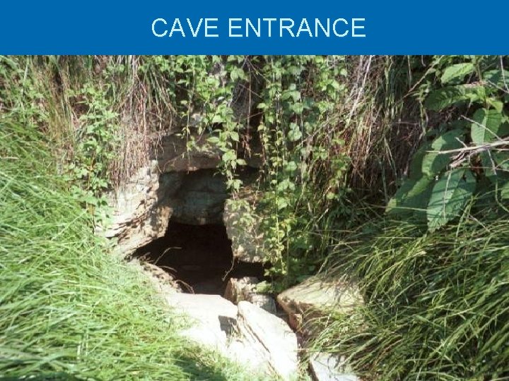 CAVE ENTRANCE 