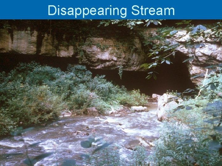 Disappearing Stream 