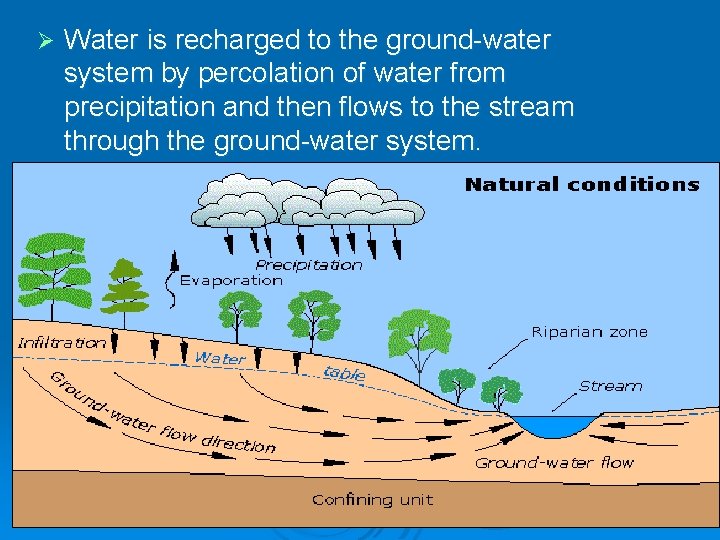 Ø Water is recharged to the ground-water system by percolation of water from precipitation