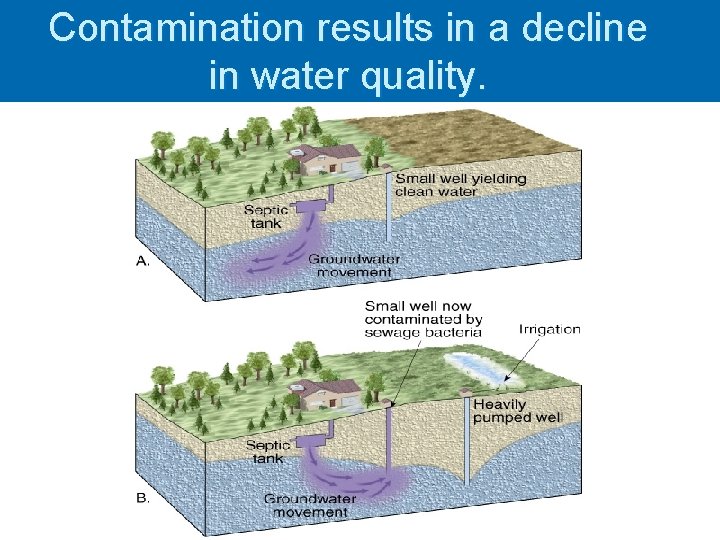 Contamination results in a decline in water quality. 