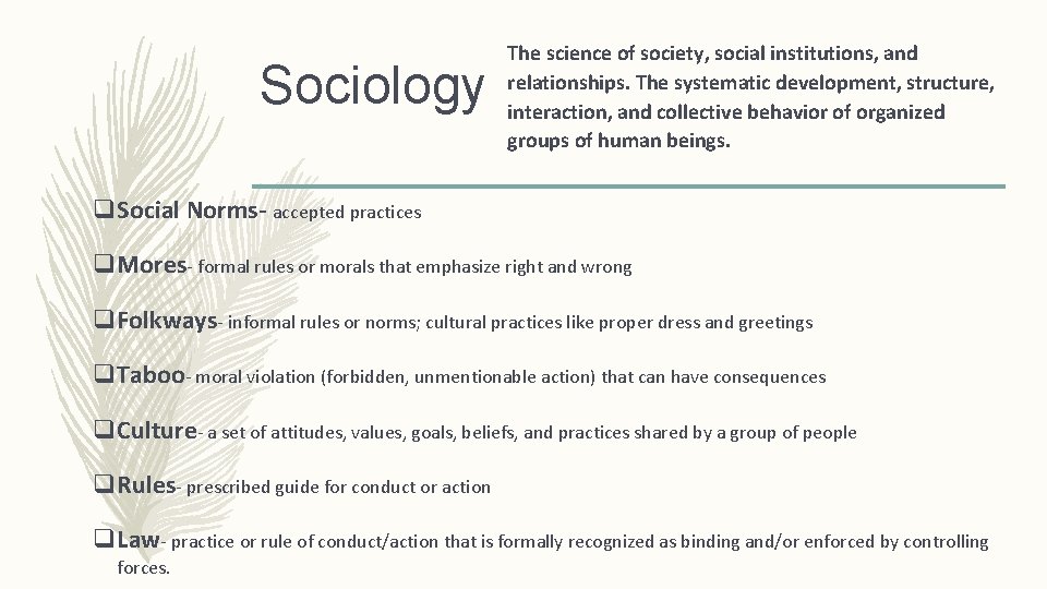 Sociology The science of society, social institutions, and relationships. The systematic development, structure, interaction,