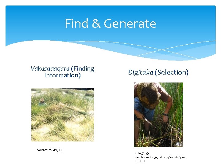 Find & Generate Vakasaqaqara (Finding Information) Source: WWF, Fiji Digitaka (Selection) http: //mgpeachcore. blogspot.