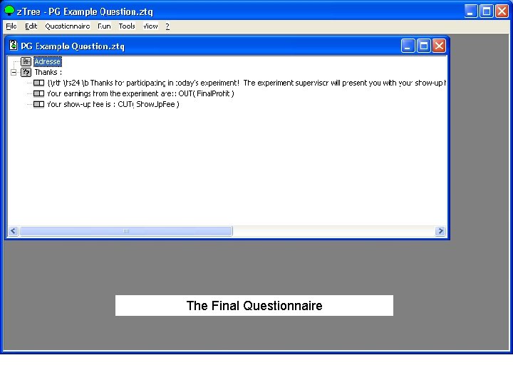 The Final Questionnaire 