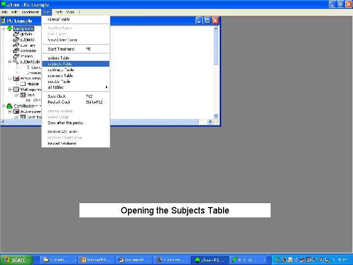 Opening the Subjects Table 