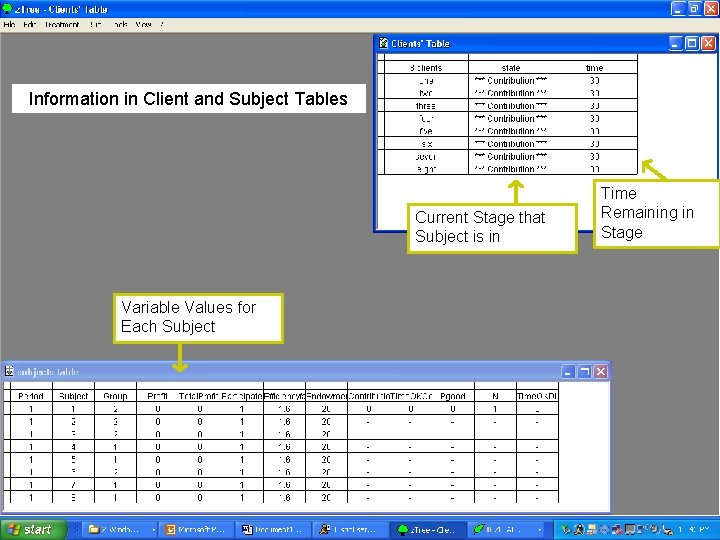 Information in Client and Subject Tables Current Stage that Subject is in Variable Values