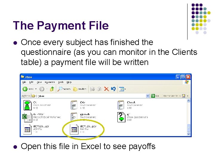 The Payment File l Once every subject has finished the questionnaire (as you can