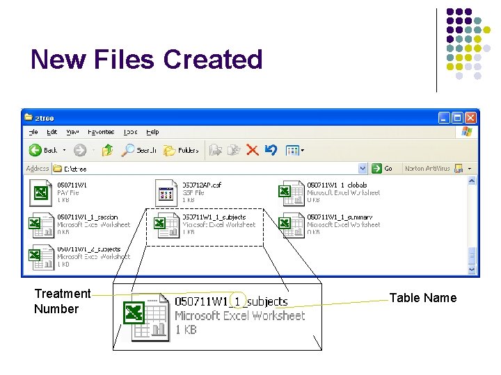 New Files Created Treatment Number Table Name 