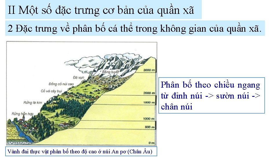 II Một số đặc trưng cơ bản của quần xã 2 Đặc trưng về