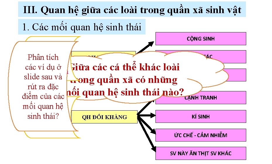 III. Quan hệ giữa các loài trong quần xã sinh vật 1. Các mối