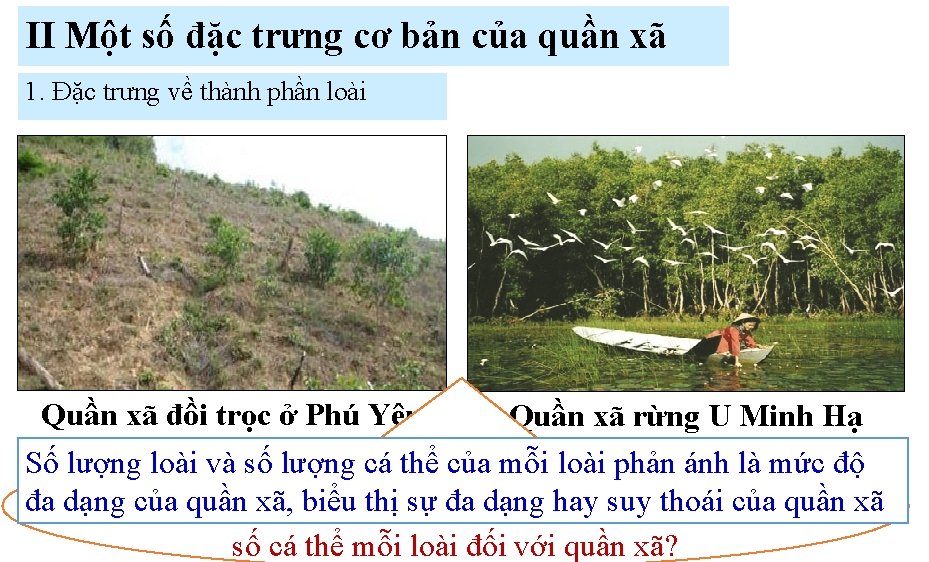 II Một số đặc trưng cơ bản của quần xã 1. Đặc trưng về