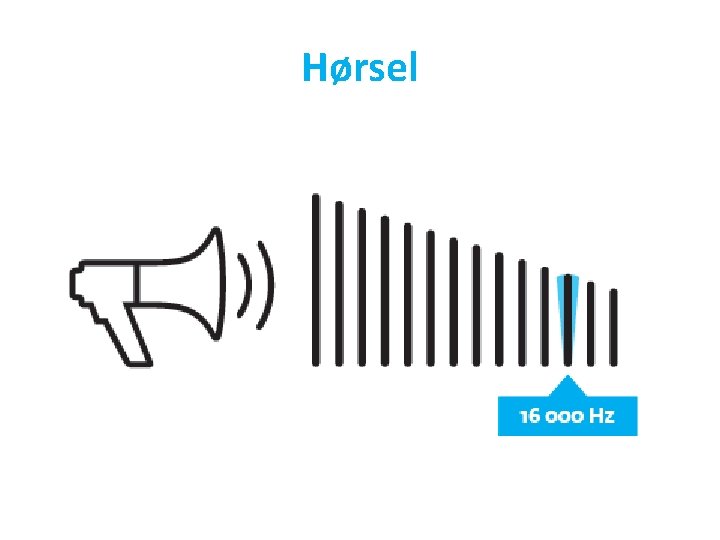 Hørsel 