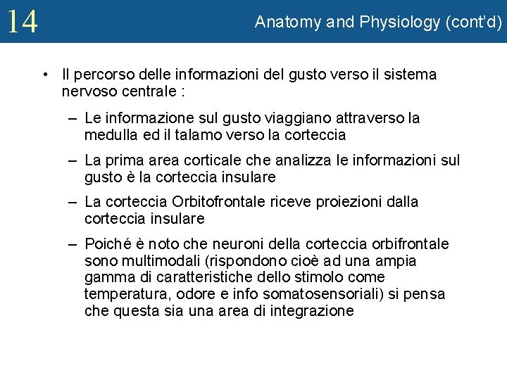 14 Anatomy and Physiology (cont’d) • Il percorso delle informazioni del gusto verso il