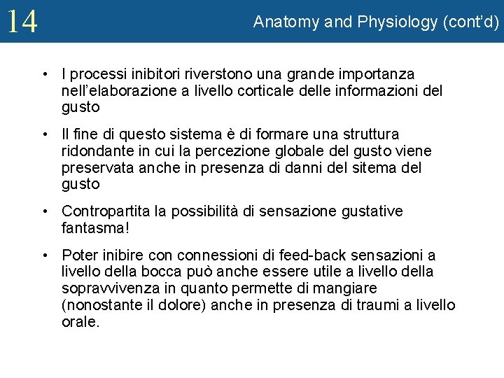 14 Anatomy and Physiology (cont’d) • I processi inibitori riverstono una grande importanza nell’elaborazione