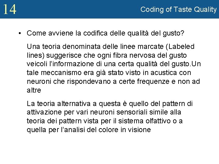 14 Coding of Taste Quality • Come avviene la codifica delle qualità del gusto?