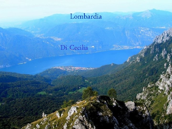 Lombardia Di Cecilia 