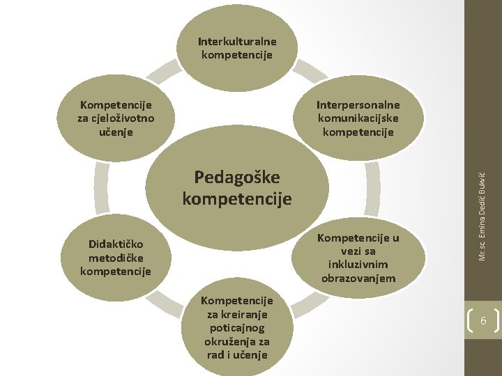 Interkulturalne kompetencije Pedagoške kompetencije Kompetencije u vezi sa inkluzivnim obrazovanjem Didaktičko metodičke kompetencije Kompetencije