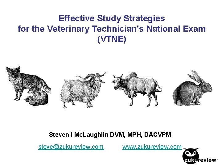 Effective Study Strategies for the Veterinary Technician’s National Exam (VTNE) Steven I Mc. Laughlin