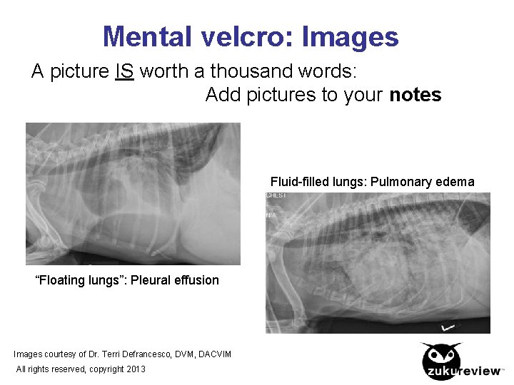 Mental velcro: Images A picture IS worth a thousand words: Add pictures to your