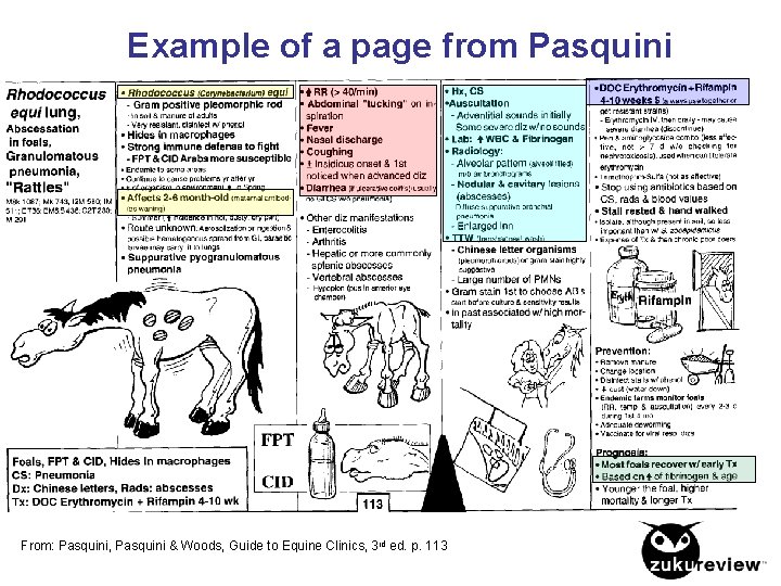 Example of a page from Pasquini From: Pasquini, Pasquini & Woods, Guide to Equine