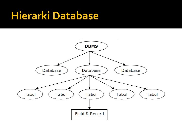 Hierarki Database 