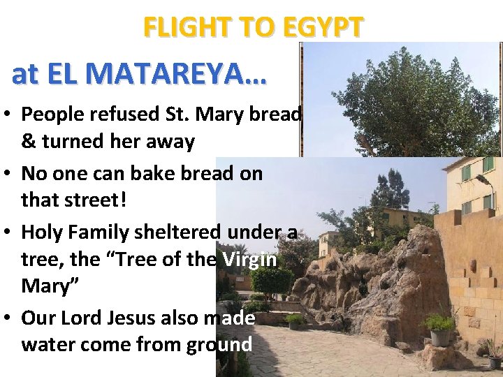 FLIGHT TO EGYPT at EL MATAREYA… • People refused St. Mary bread & turned