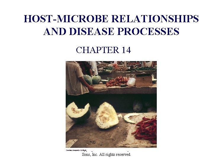 HOST-MICROBE RELATIONSHIPS AND DISEASE PROCESSES CHAPTER 14 Copyright © 2012 John Wiley & Sons,