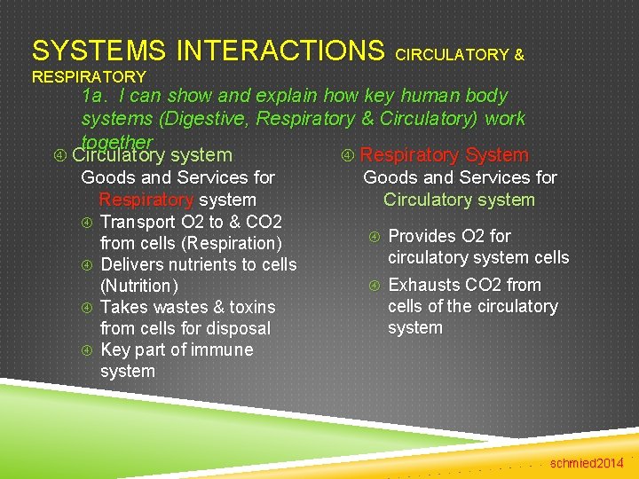 SYSTEMS INTERACTIONS CIRCULATORY & RESPIRATORY 1 a. I can show and explain how key