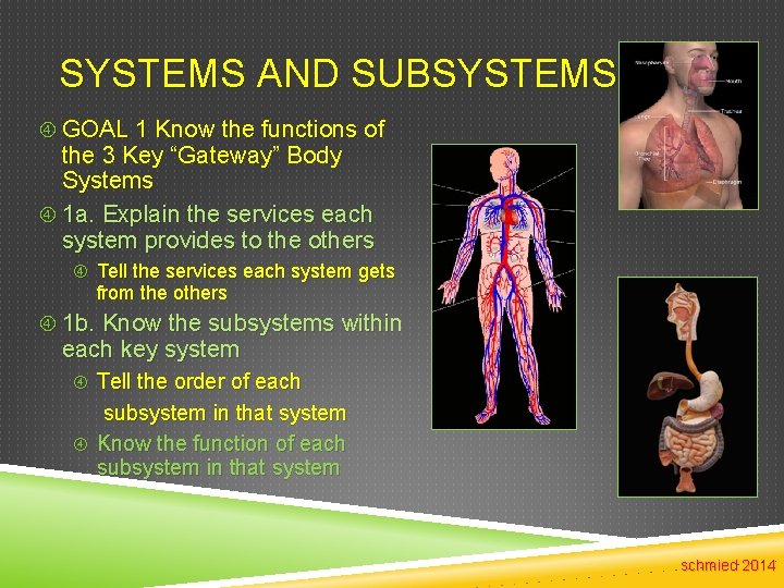 SYSTEMS AND SUBSYSTEMS GOAL 1 Know the functions of the 3 Key “Gateway” Body